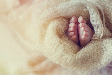 cute newborn baby feet wrapped comfortable fabric