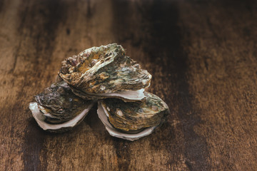 Raw oyster on wooden table with a close view