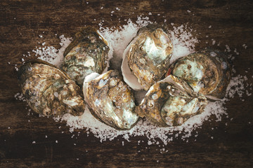 Dozen fresh oysters on the wooden and sea salt. Top view