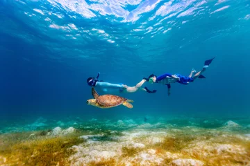 Foto op Aluminium Family snorkeling with sea turtle © BlueOrange Studio