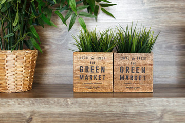 Fashionable wooden pots with green grass on a table. Green market