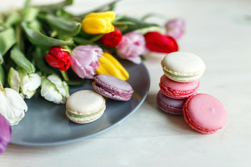 Macarons on white wooden background with spring flowers tulips