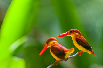 Female and male Rufous-backed Kingfisher bird(Ceyx Rufidorsa), smallest species of Kingfisher on the tree branch eating small fish with green nature background.Colorful bird with bokeh background.
