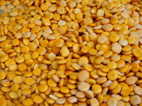 Lupin beans, scientific name is Lupinus albus, in a big heap. Yellow food background.
