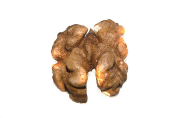 walnut isolated on white background