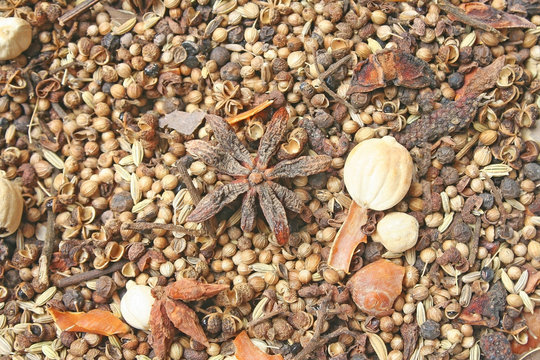 Variety of spices background ,Various parts of plants such as seeds,leaves, roots, etc. are popular to make food