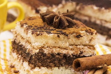 delicious portion of tiramisu