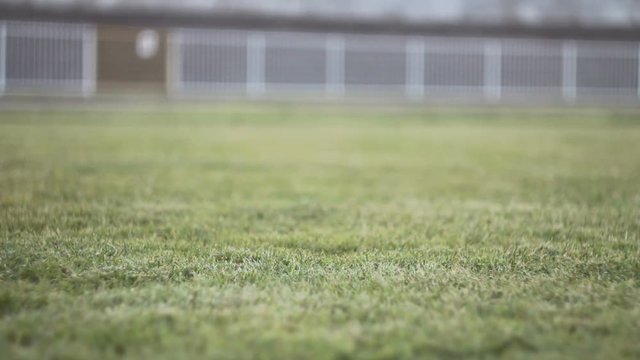 Discus throw / Discus hits the ground