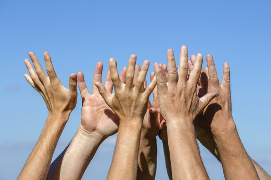 Group of people pulling hands in the air in sunlight. Many hands against blue sky background