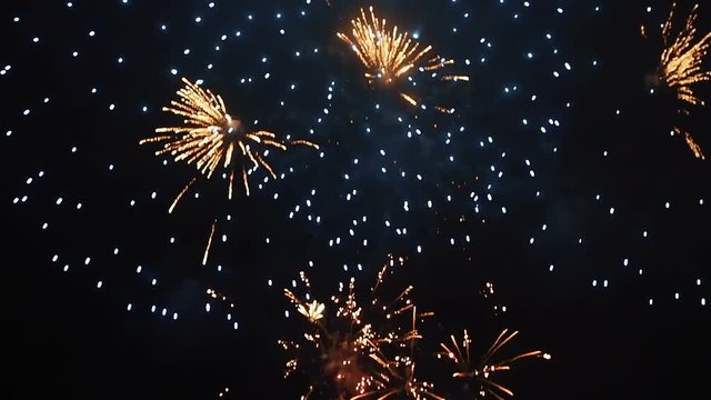 Colorful Fireworks in the Night Sky
