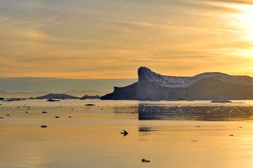Icebergs in the light of the rays of the sunset