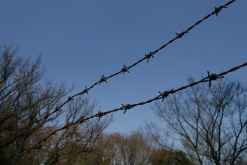 青空の下の有刺鉄線