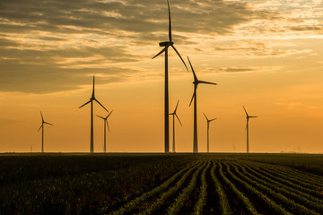 Wind farm of wind turbines