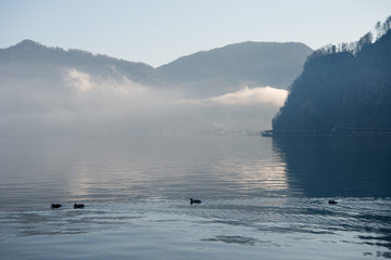 Morgenstimmung am See