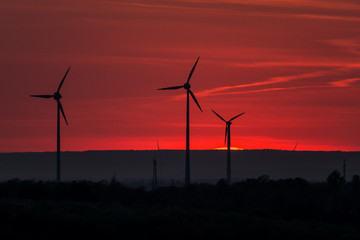 Wind farm of wind turbines