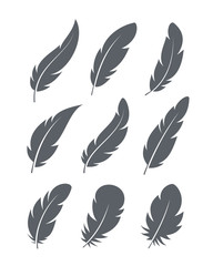 Feathers Icons Set
