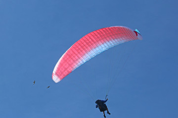 Paraglider flying