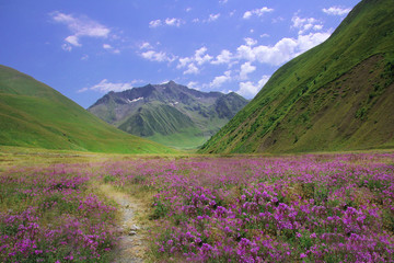 Fototapeta na wymiar Colorful landscape in Georgia