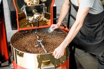 Man checking the quality of the coffee beans standing with scoop near the roaster machine at the roastery