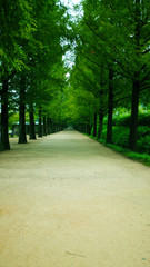 voyage en coree du sud 
