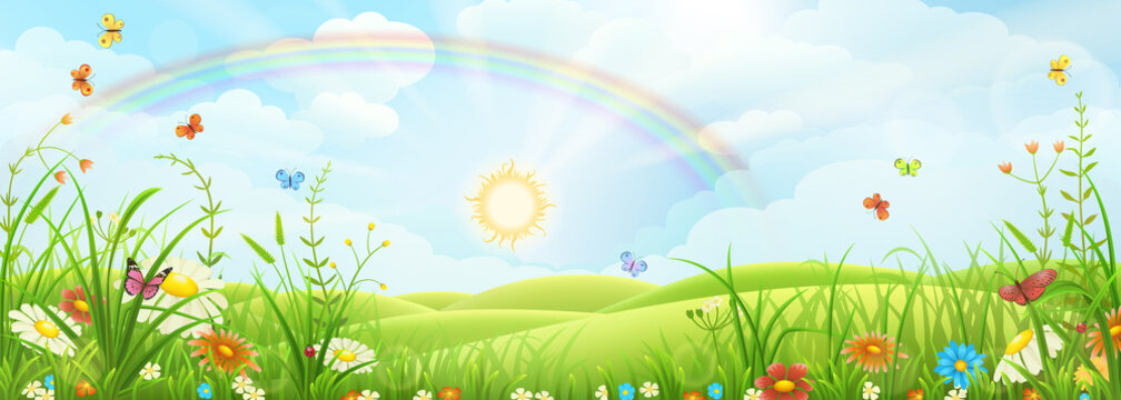 Summer meadow landscape with green grass, flowers and rainbow
