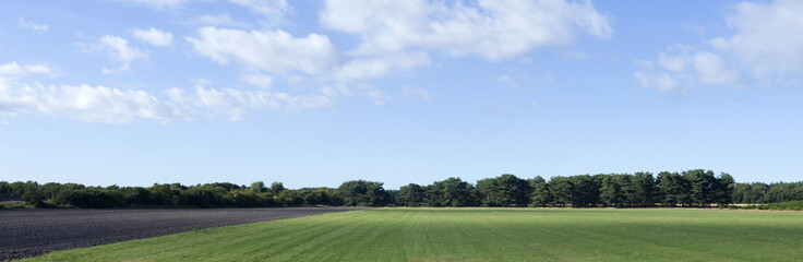 Laesoe / Denmark: View over the agricultural landscape in August