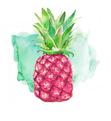 Pink pineapple and colorful splash on a white background. Watercolor