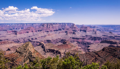 Nature of Grand Canyon National Park, Arizona, USA