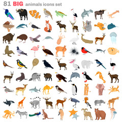 Big animals color flat icons set