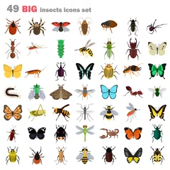 Foto op Plexiglas Big insects color flat icons set © LynxVector