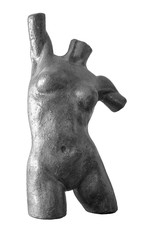 female torso