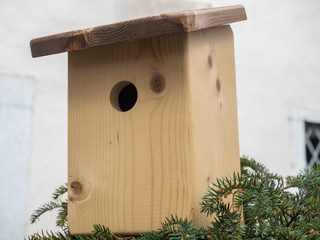 woodden nest for birds