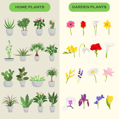 Home and garden flowers color flat icons set