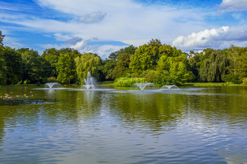 View of beautiful city park with pond, fountains, swimming ducks, green trees and lawns. Summer nature, blue sky. 