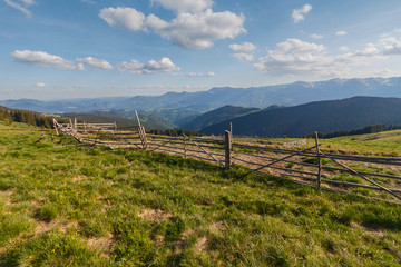 Hedge of pasture against a background of sunlit mountains. Carpathians