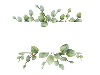 Watercolour green eucalyptus banner on white background. - obrazy, fototapety, plakaty