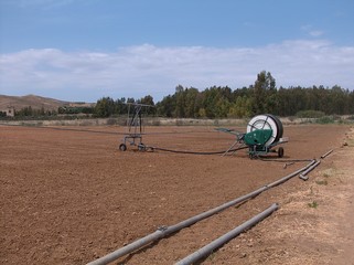 Irrigazione per aspersione