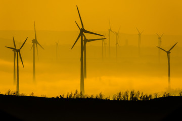 Wind Farm of Wind Turbines