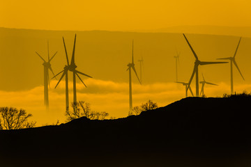 Wind Farm of Wind Turbines