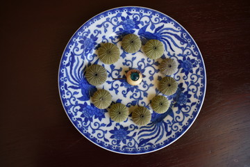 Blue doll's eye circled by green sea urchin shells on blue patterned plate.