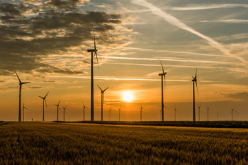 Wind Farm of Wind Turbines