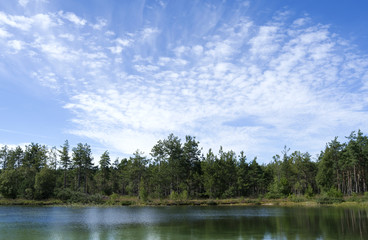 Laesoe / Denmark: Dreamy swimming pond in the woods near Byrum