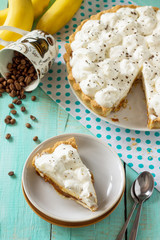 Homemade baking. Cake 