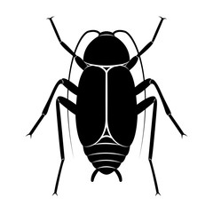 Vector image of silhouette of cockroach