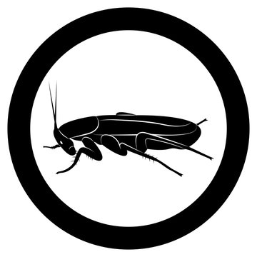 Vector image of silhouette of cockroach