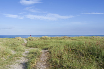 Laesoe / Denmark: View from the dunes at Bloeden Hale over the Baltic Sea to the east