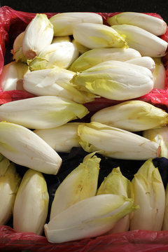 endive