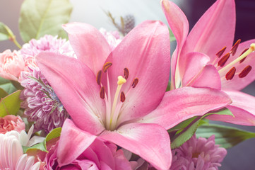 Closeup view of pink lilies illuminated by sun