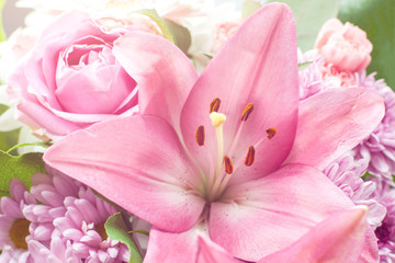 Obraz na płótnie Canvas Closeup view of pink lily and rose flower illuminated by sun