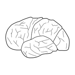Brain icon